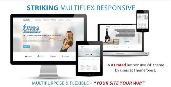 STRIKING – MULTIFLEX & ECOMMERCE RESPONSIVE WP THEME